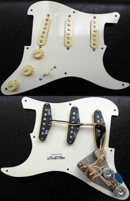 1 Fender Pre_Wired Strat Pickguard Eric Johnson Signature.jpg