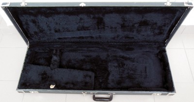 strat case 1.jpg