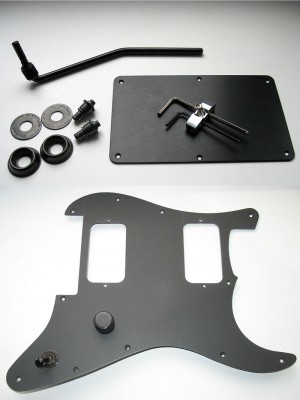 Charvel_So-Cal_10.jpg