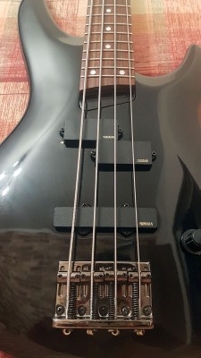 rbx1000bk-body.jpg