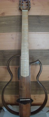 Slnt01_cr.jpg