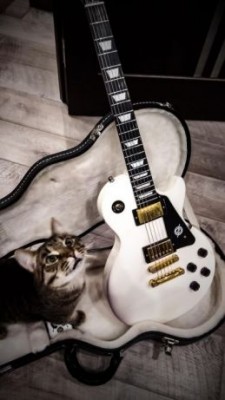 537659940_1_644x461_gibson-les-paul-studio-white-gold-ebony-kiev.jpg