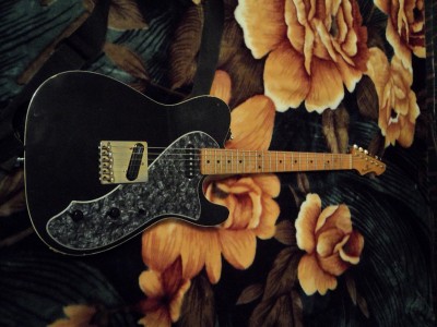 Chandler telecaster уменьш.jpg