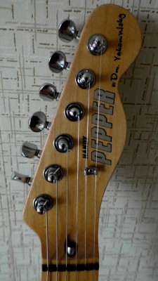S1650047.jpg