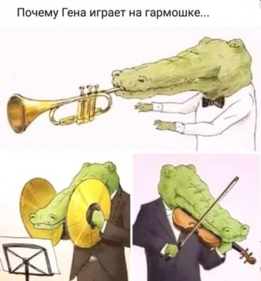 reHa.jpg