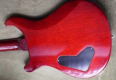 South American mahogany on Back Wood - hand selected from - PRS Wood Library.jpg