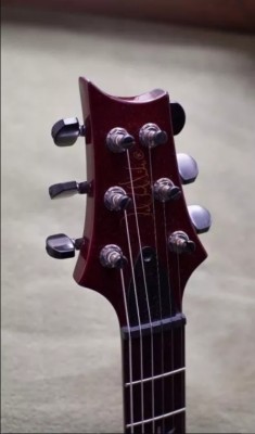 Quality Black Tuners feture of all Private Stock guitars.jpg