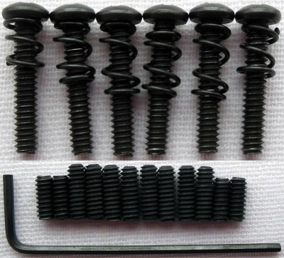 Fender American Deluxe Elite Strat Intonation Screws_Springs_Bridge Saddle Height Adjustment Screws_.jpg