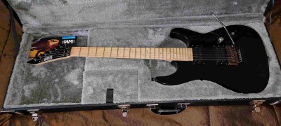 ESP MII Maple1.jpg