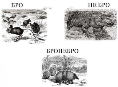 bronebro.jpg