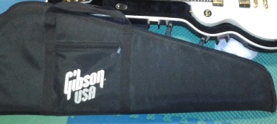 Gibson Gig Bag.jpg