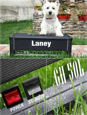 laney-small.jpg
