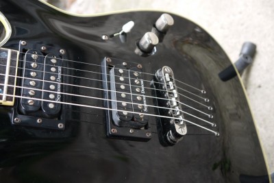 P1020115.jpg