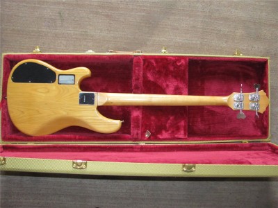 Ibanez 5.jpg