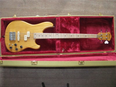 Ibanez 2.jpg