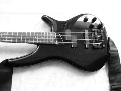 l8665t2pseA.jpg