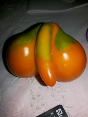 20130826_133759.jpg