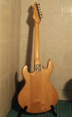 P9268059_измен.размер.JPG