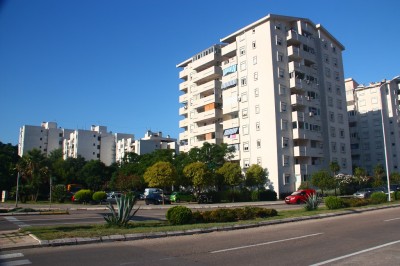 010.jpg