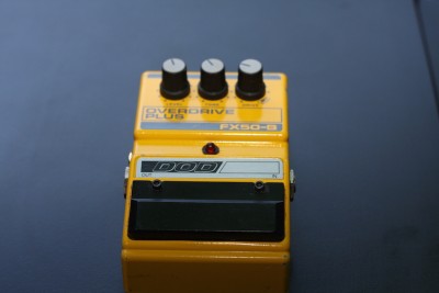 IMG_2998.JPG