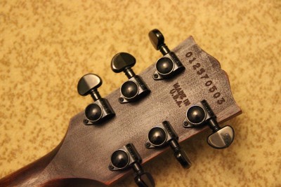 Gibson BFG_3.jpg