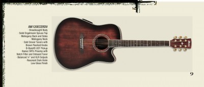 Ibanez AW120.jpg