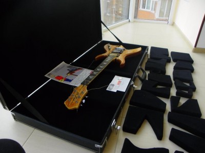 315308504_2_1000x700_keys-dlya-elektrogitary-gator-gw-extreme-fotografii.jpg