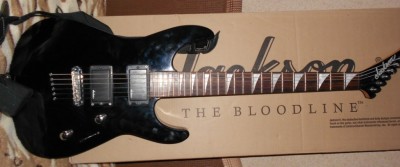 Копия Jackson_front.JPG