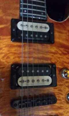 IMAG0969.jpg
