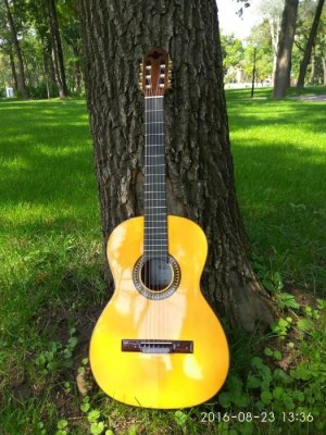 359054558_4_1000x700_ispanskaya-klassicheskaya-gitara-toledo-tc-2-z-ruchnaya-rabota-hobbi-otdyh-i-sport_rev006.jpg