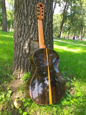 359054558_5_1000x700_ispanskaya-klassicheskaya-gitara-toledo-tc-2-z-ruchnaya-rabota-kievskaya-oblast_rev006.jpg