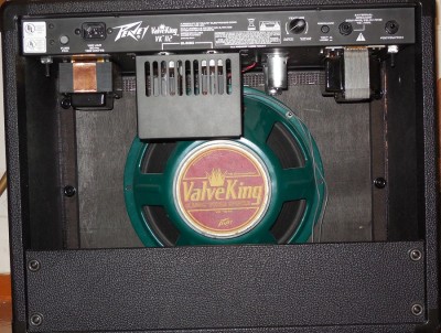 peavey 1.JPG