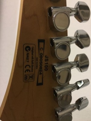 408980420_8_1000x700_prodam-elgitaru-ibanez-js-100korea-s-setom-dzhpetruchchi-_rev004.jpg